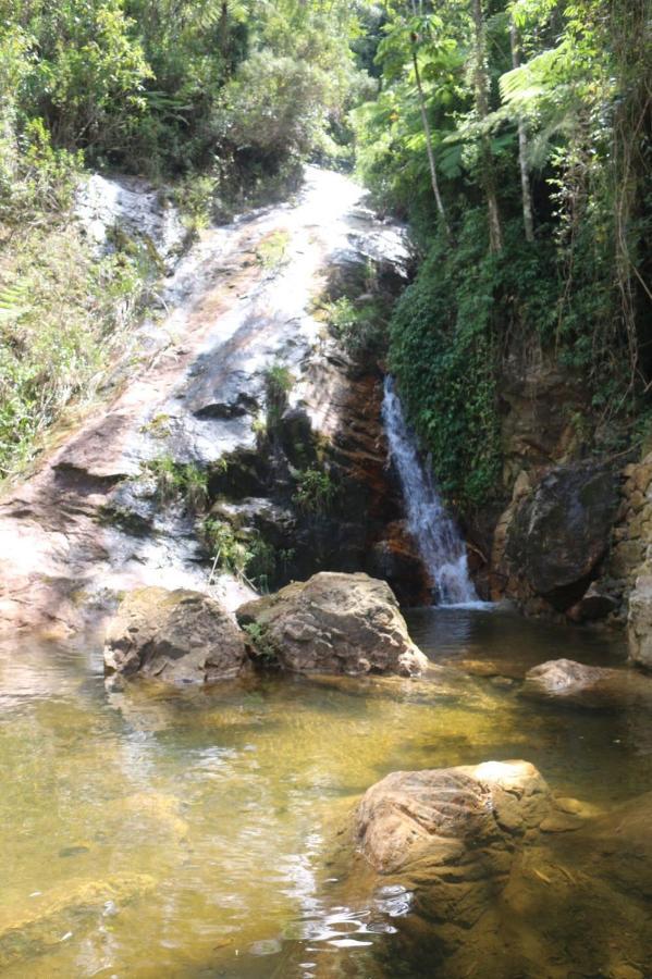 הוילה Petrópolis Blue Bear Cabins מראה חיצוני תמונה